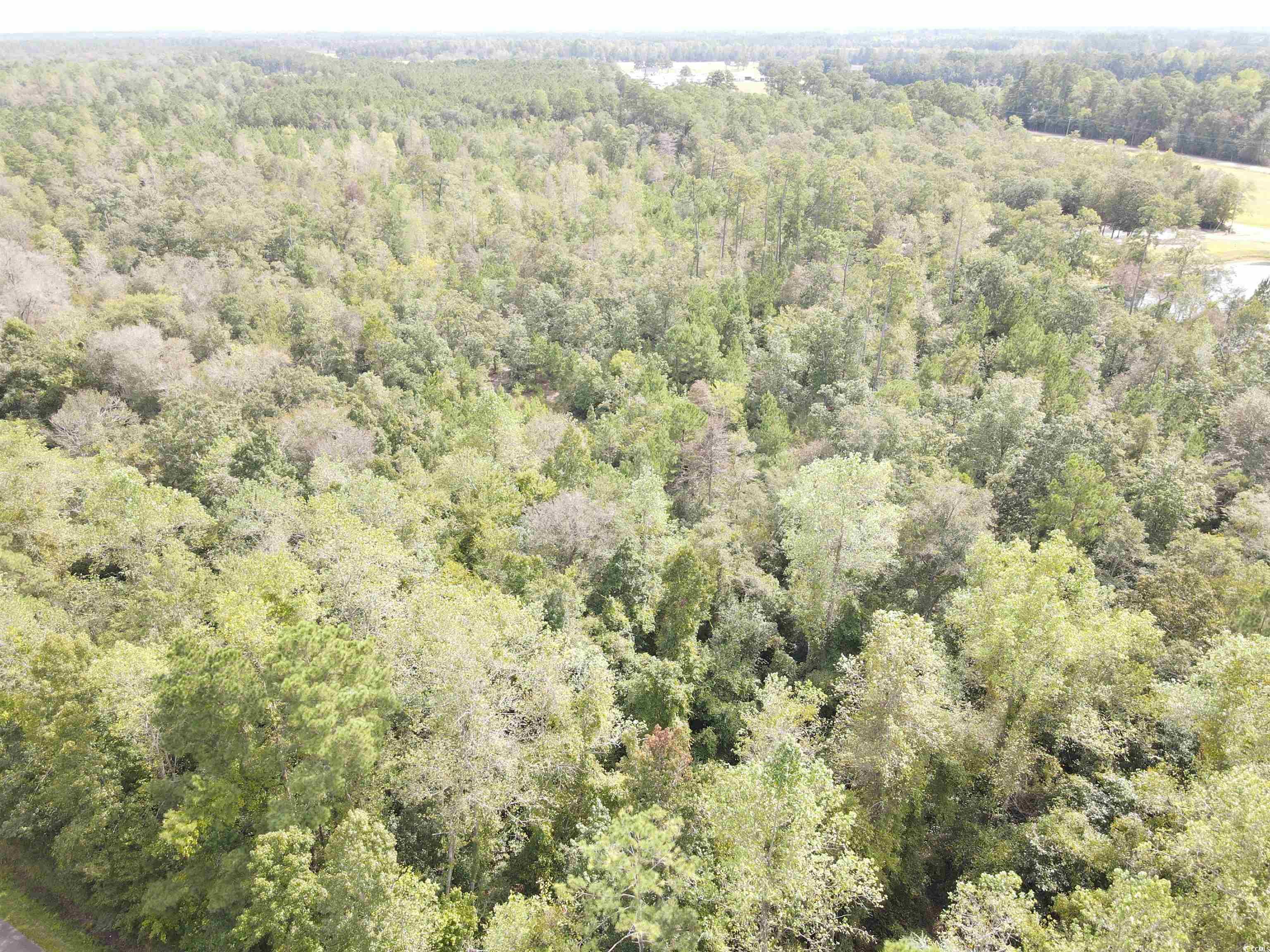 Lot 6 Rainbow Dr., Loris