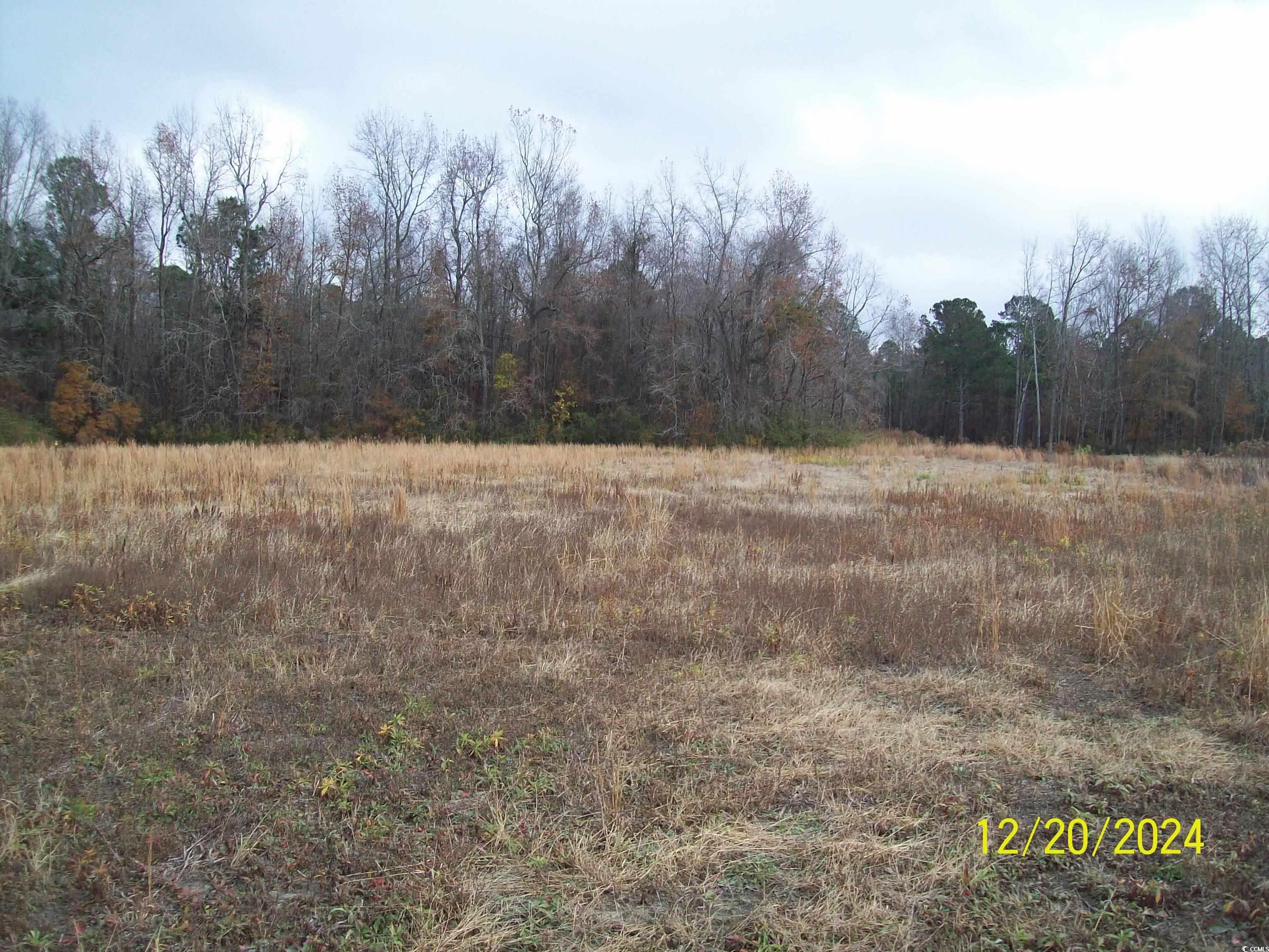 4018 Buffkin Rd., Green Sea