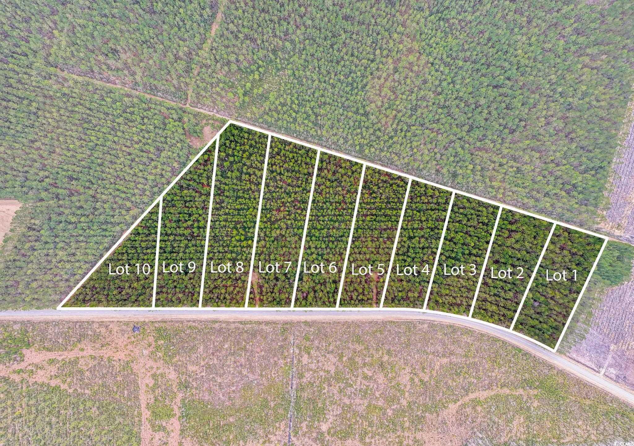 TBD Joyner Swamp Rd., Galivants Ferry