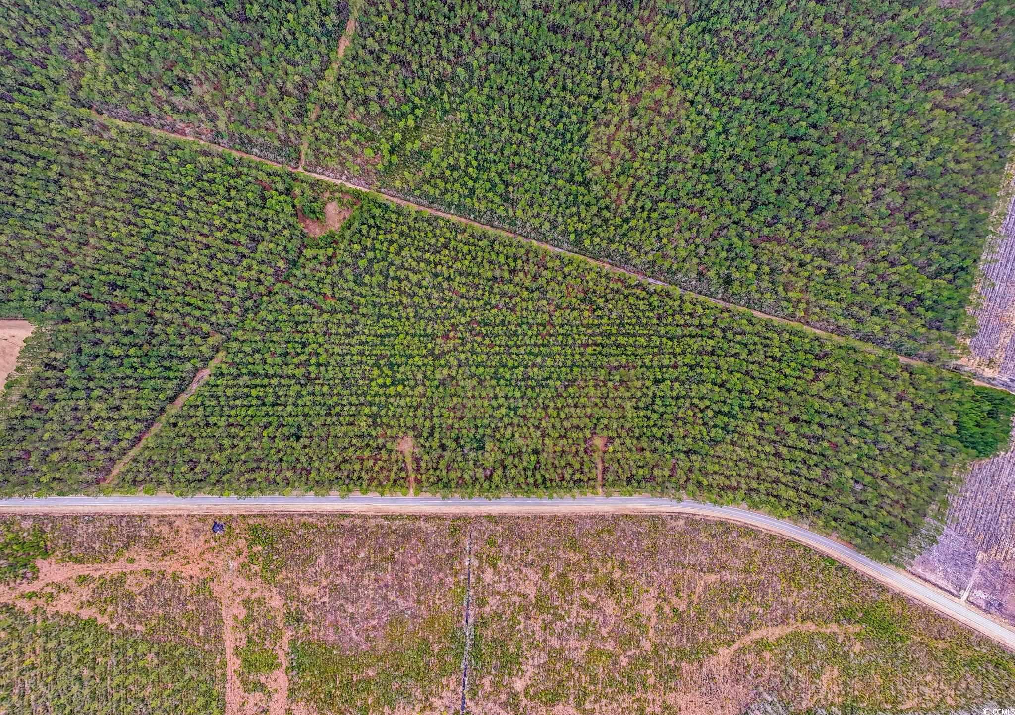 TBD Joyner Swamp Rd., Galivants Ferry