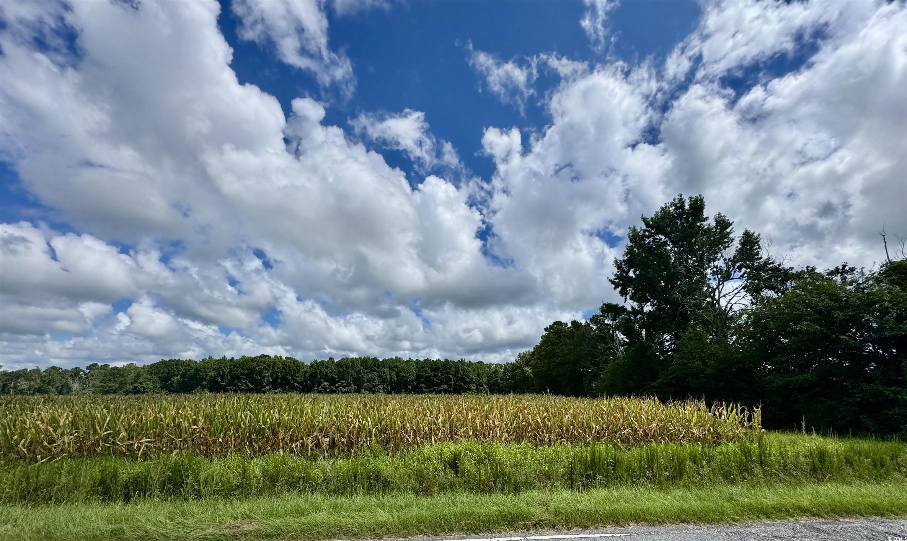 TBD Pearl Rd., Galivants Ferry