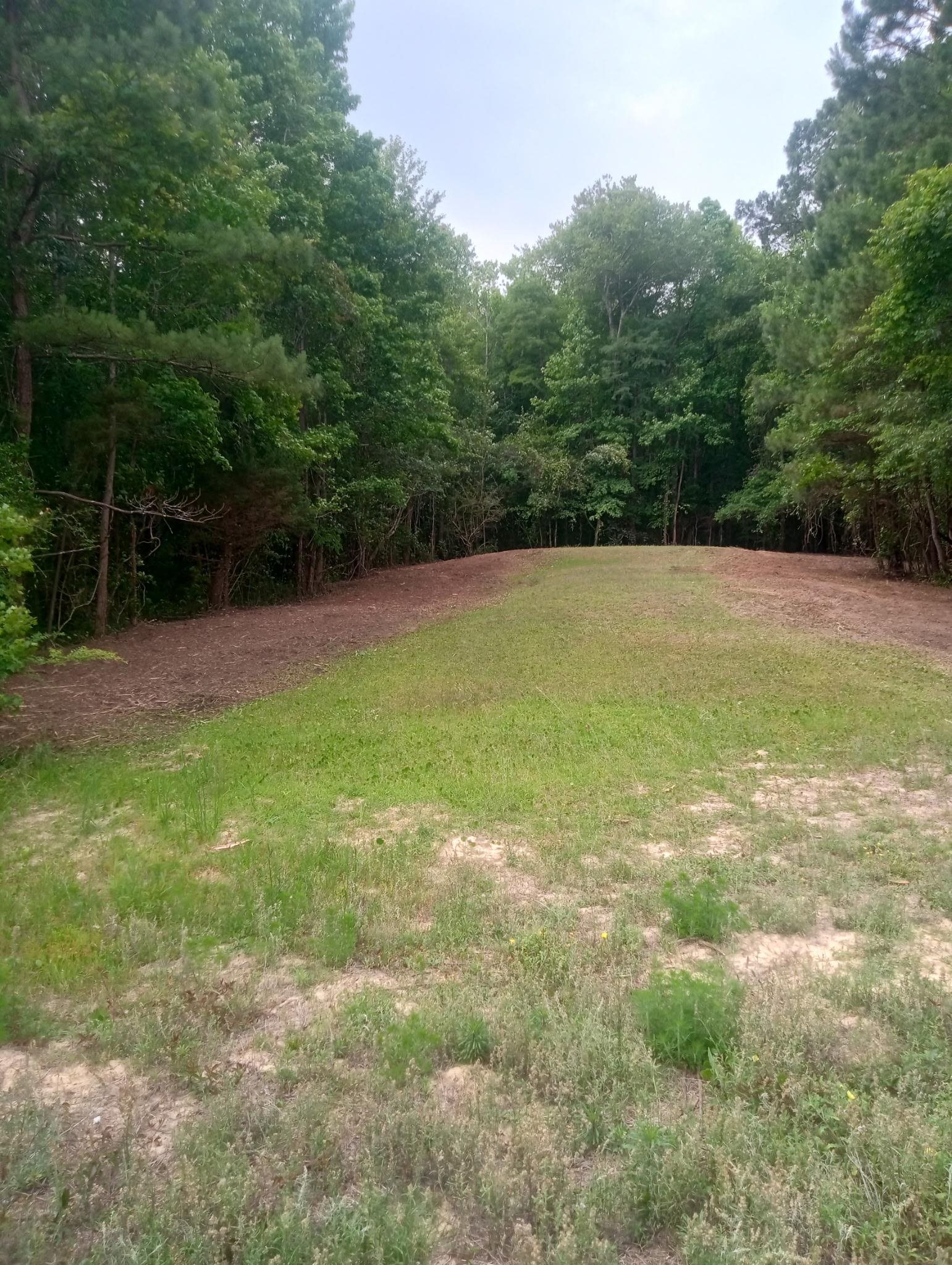 175 Commanders Island Rd., Georgetown