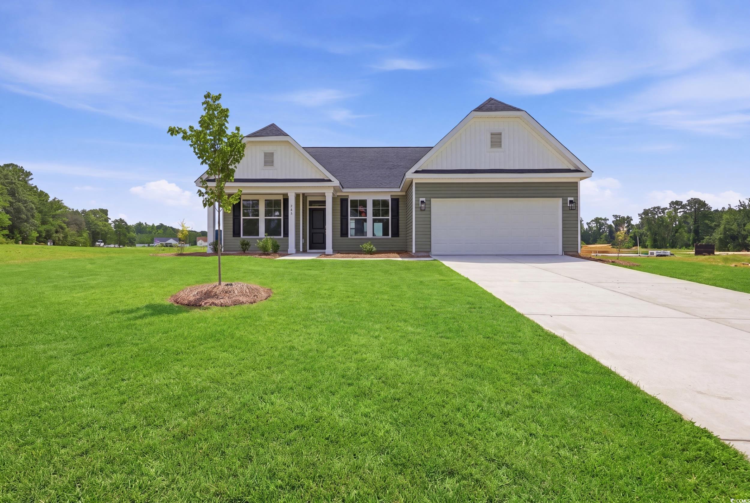 208 Blue Wing Court, Conway