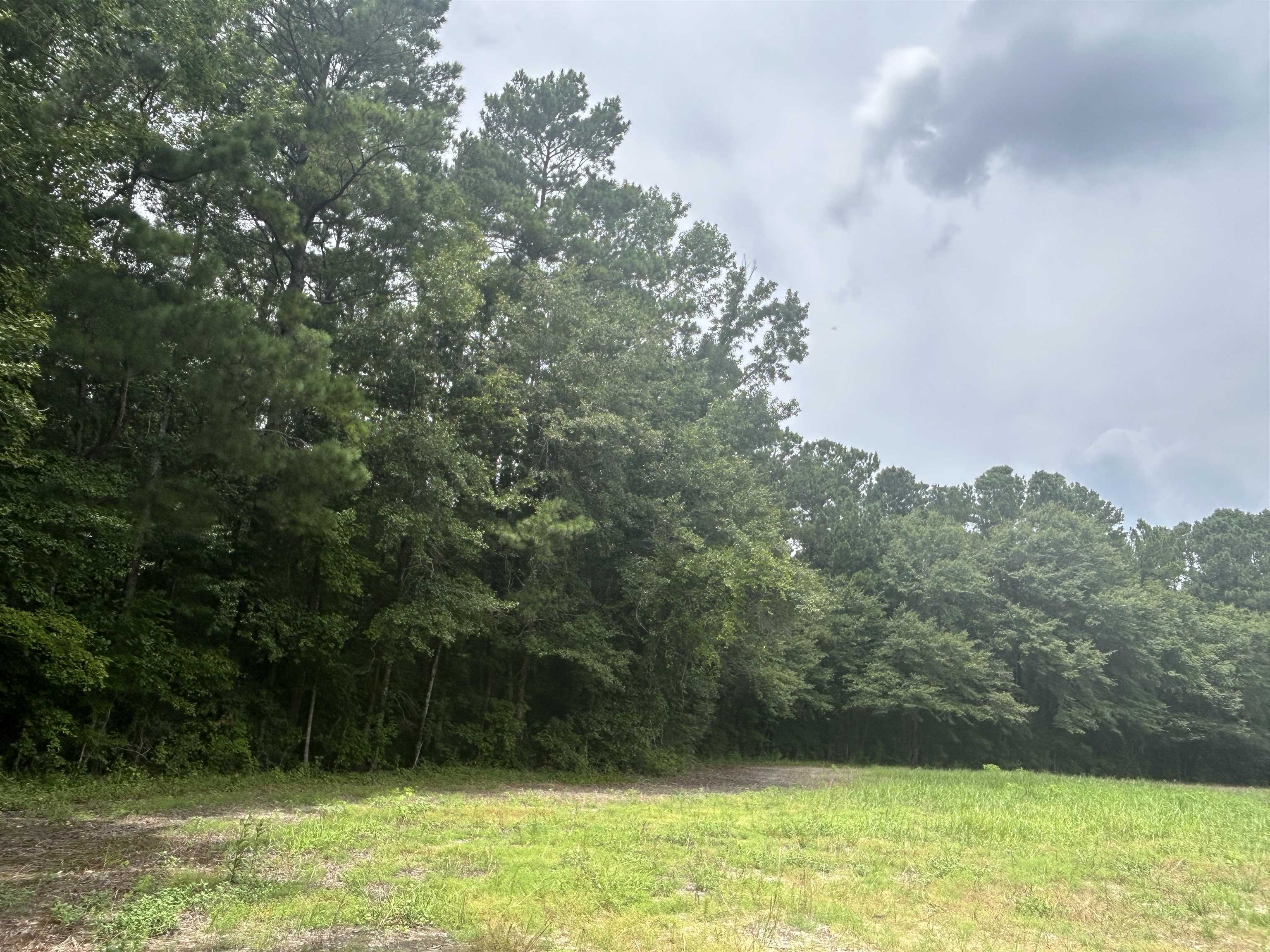 TBD Johnson  Rd., Galivants Ferry