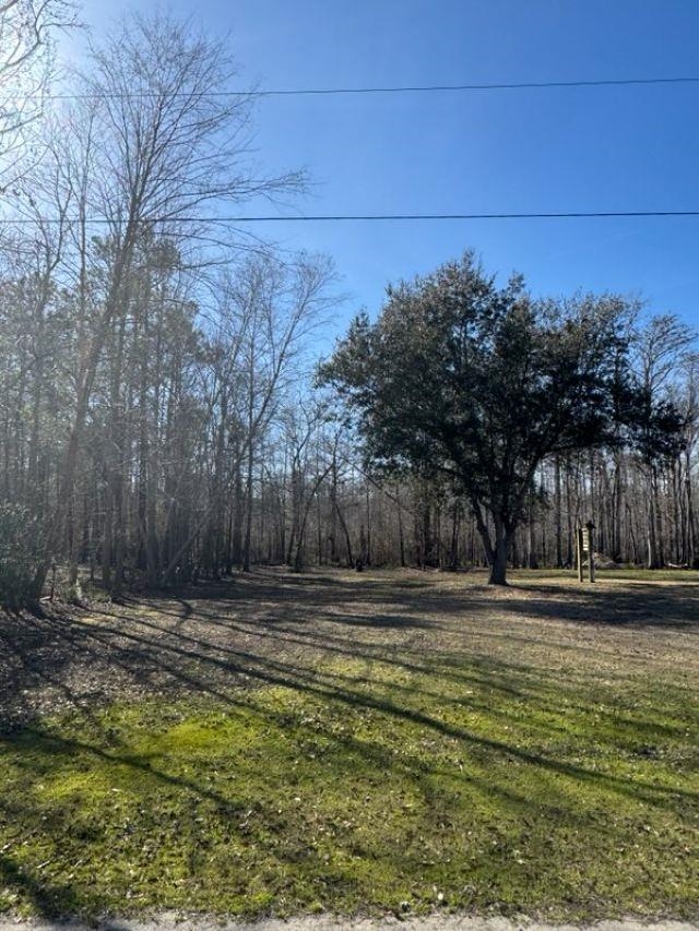 Homes for sale in Pitch Landing