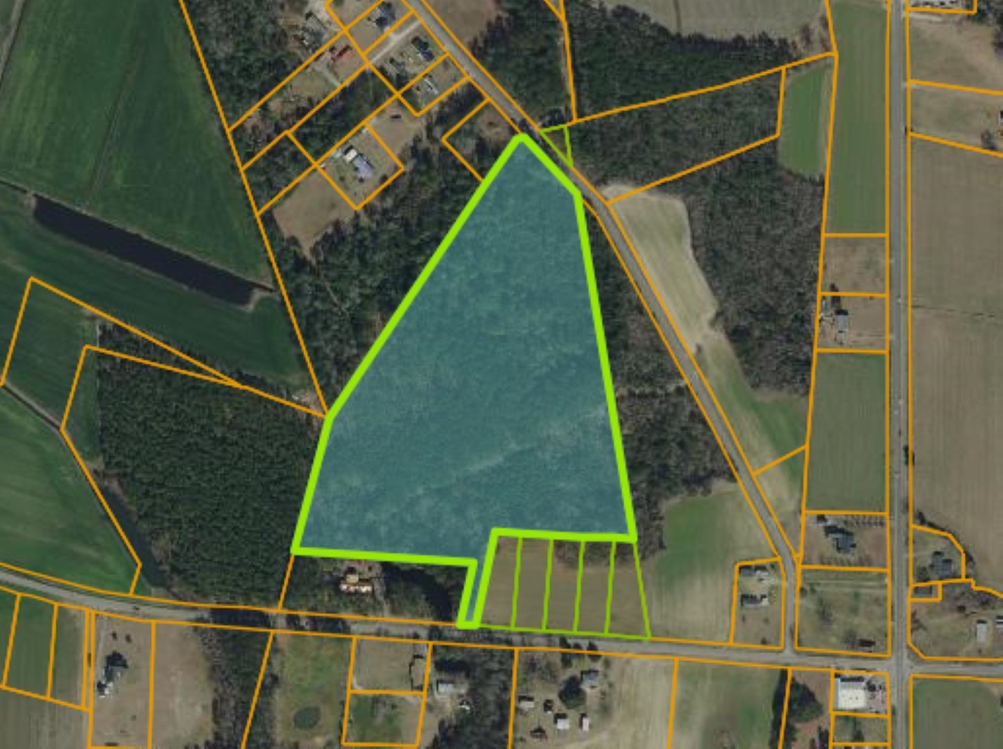 TBD Joyner Swamp Rd., Galivants Ferry