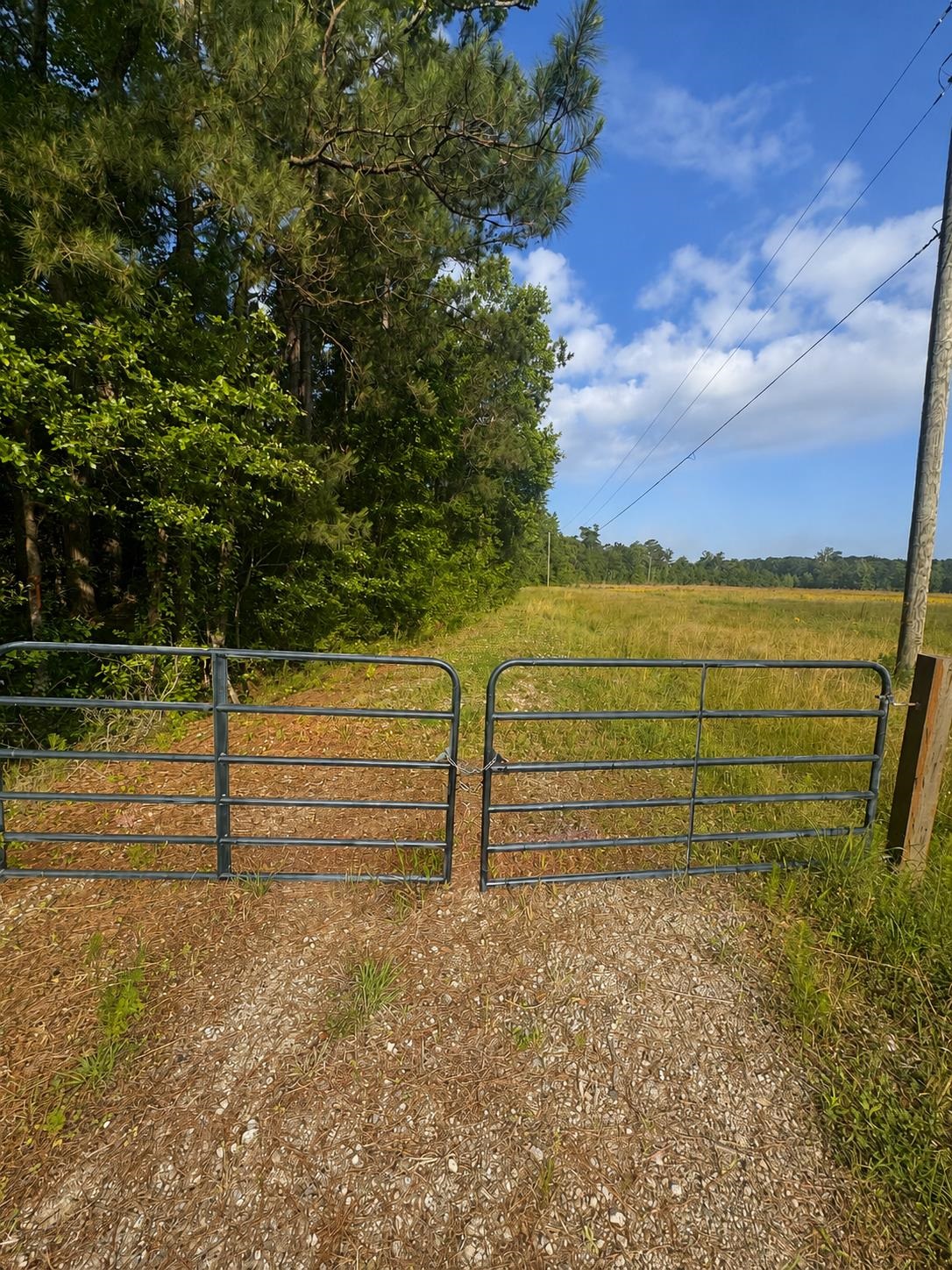 Homes for sale in Buck Creek