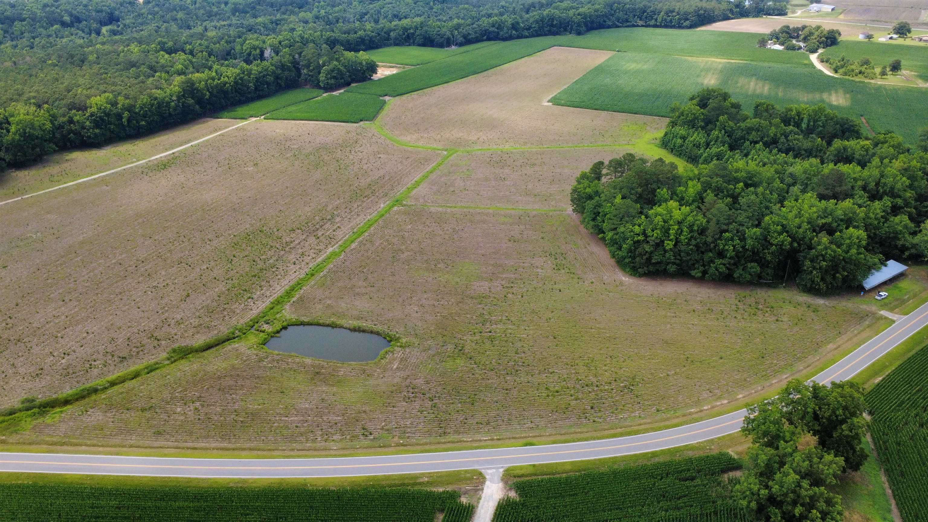 TBD (Tract 3) Long Branch Swamp Rd., Green Sea