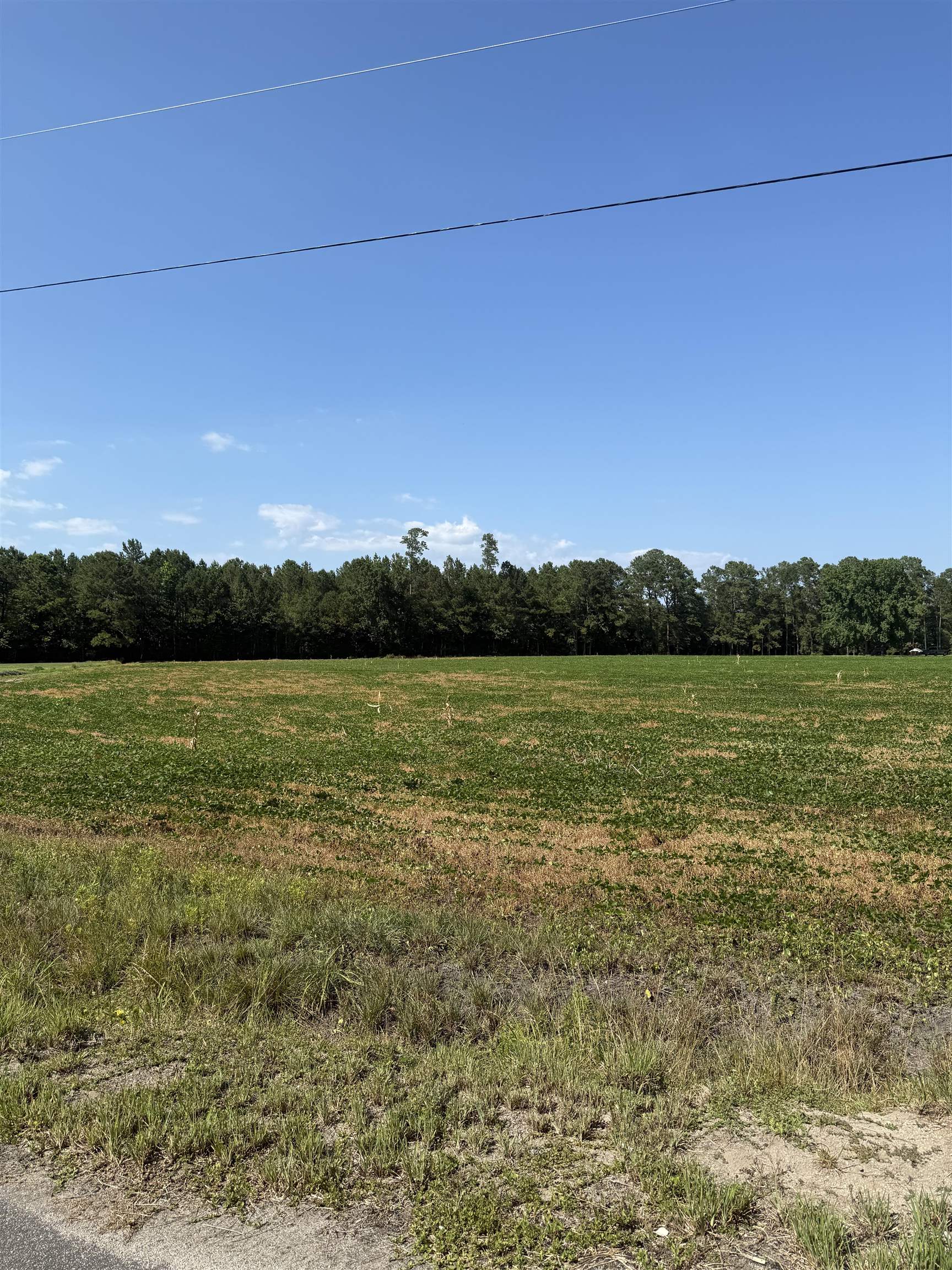 TBD Dupont Rd., Aynor
