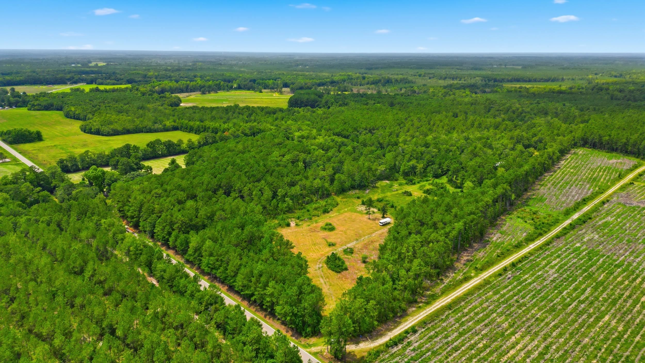 Homes for sale in Hemingway