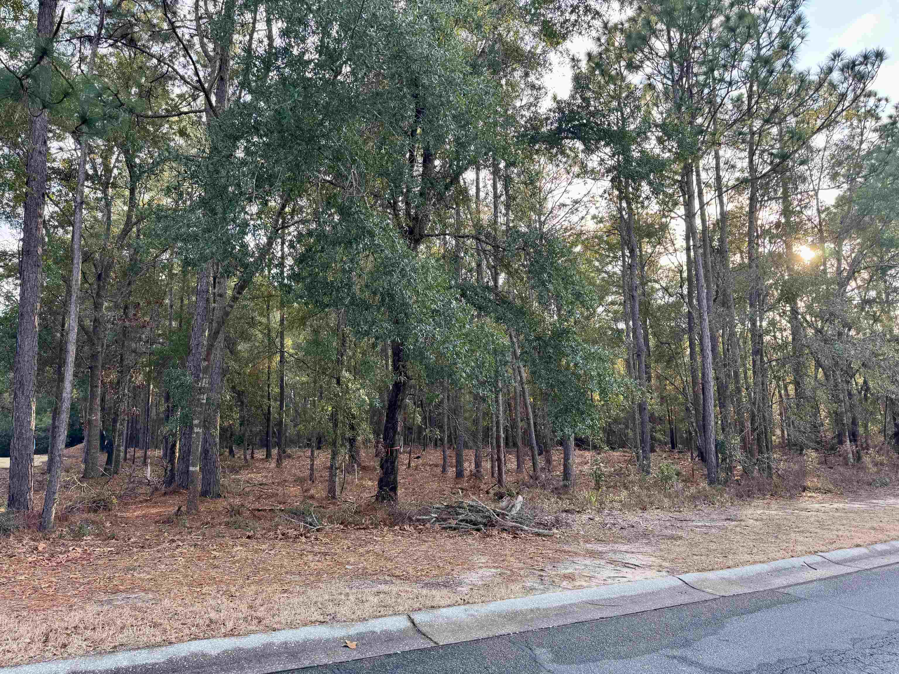 Homes for sale in The Reserve