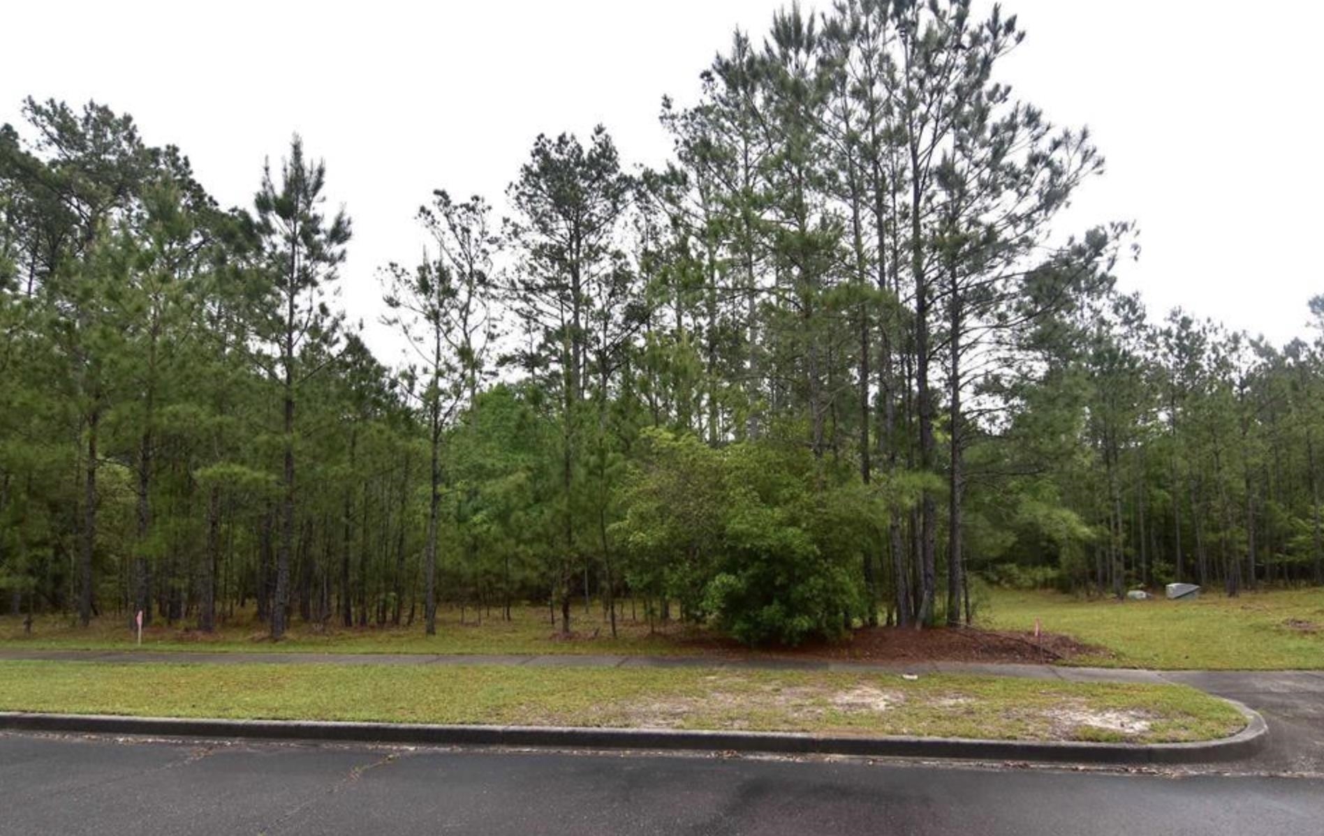 121 Pineberry Dr., Georgetown