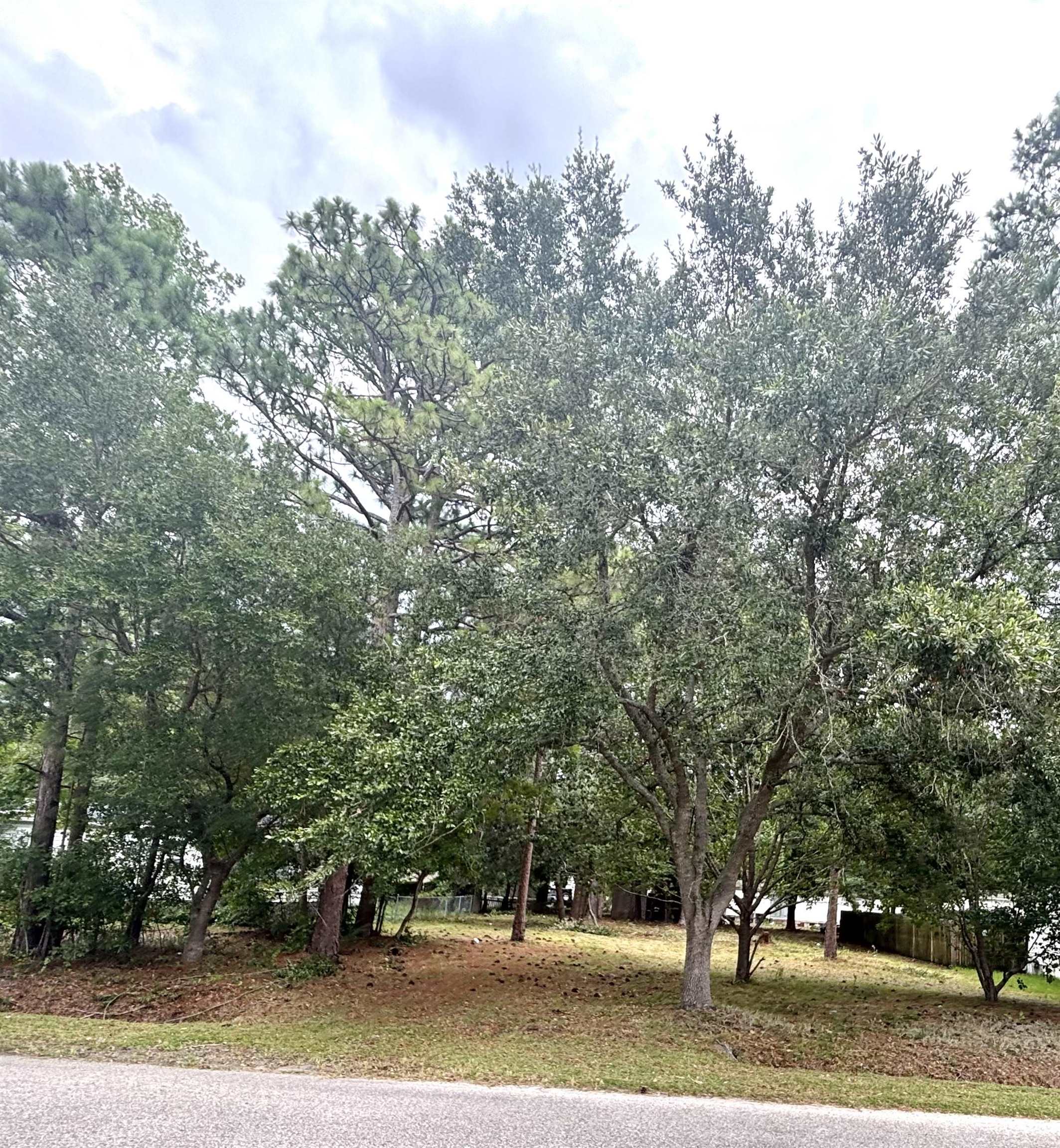 Homes for sale in Woodwinds