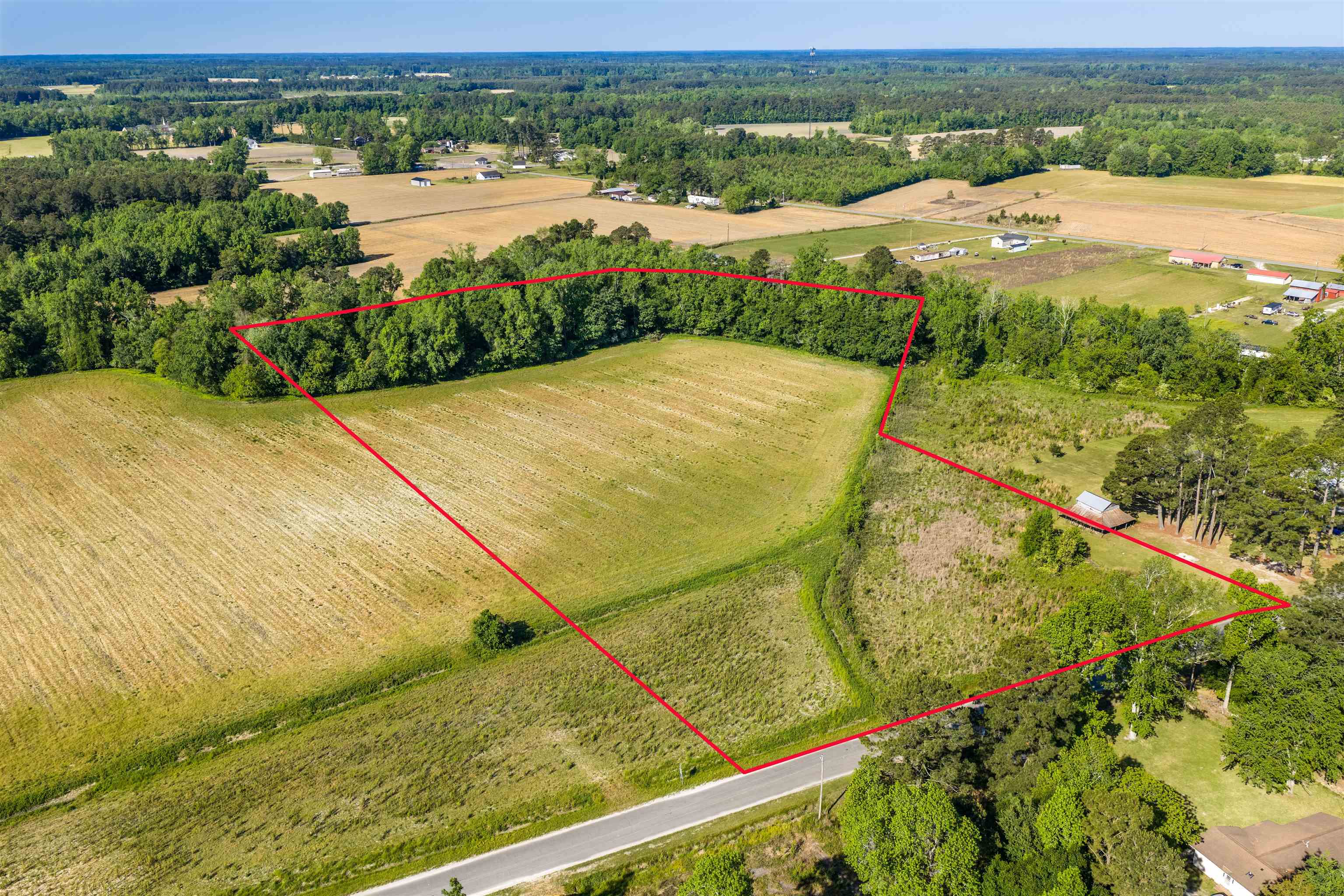 Photo 5