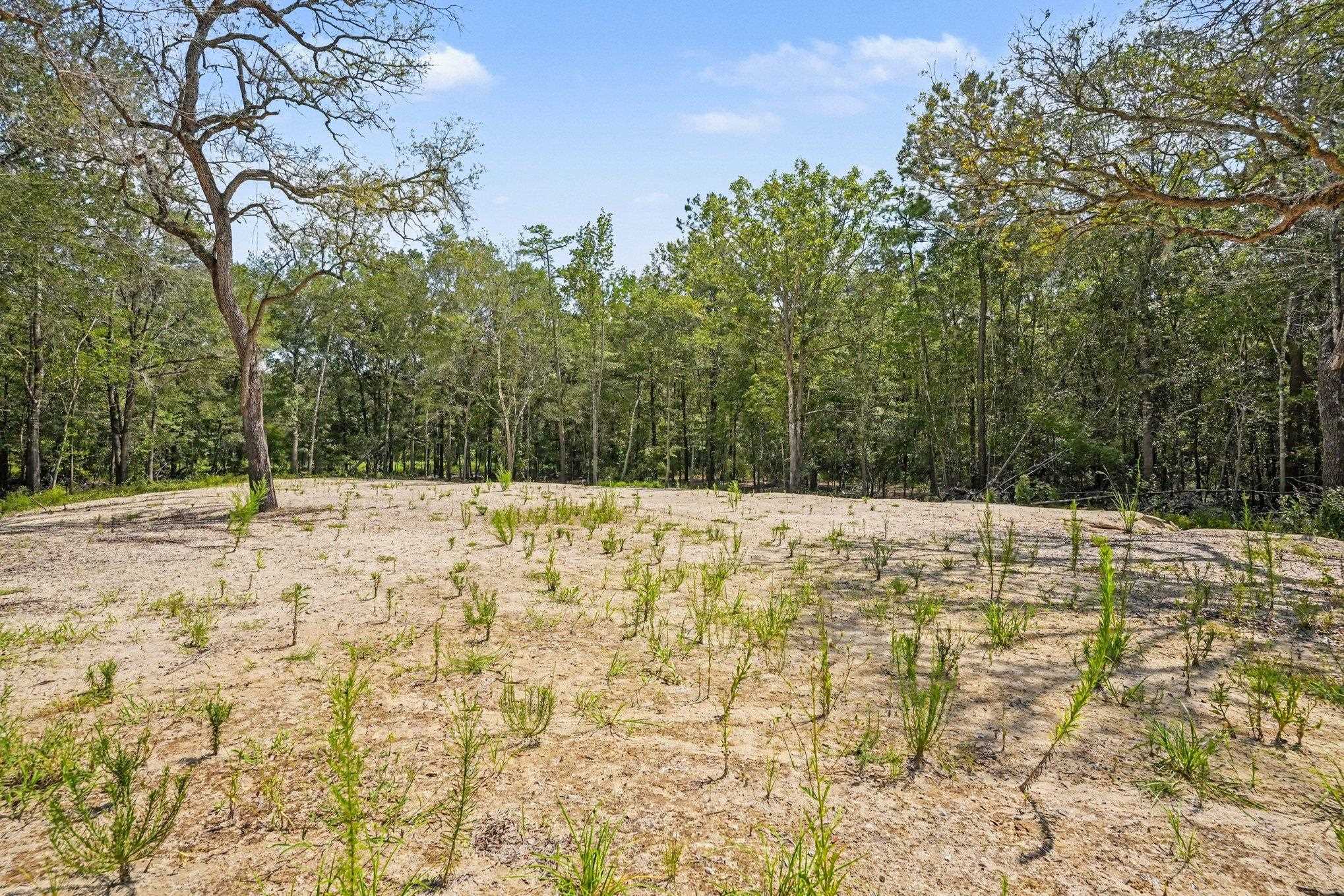 Homes for sale in All Saints Landing